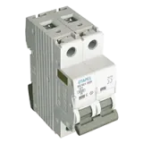 DISJONCTEUR MT - 2P - 6KA - D - 63A